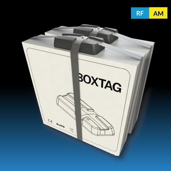 Boxtag þjófavarnir